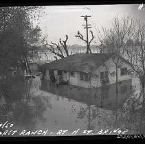 Negative, Safety, Unknown