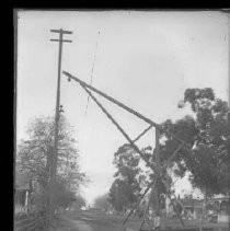 Negative, Glass Plate
