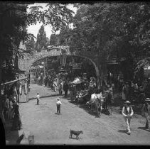 Negative, Glass Plate