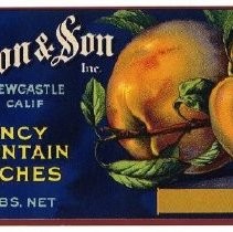 W.J.Wilson & Son, Fancy Mountain Peaches