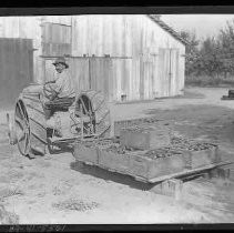 Man on a tractor