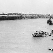 Sacramento River Scene