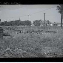 Negative, Safety, unknown