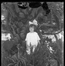 Negative, Glass Plate