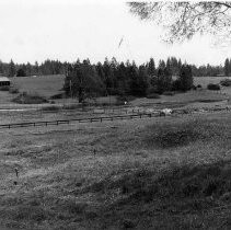 Print, Photographic, Black and White