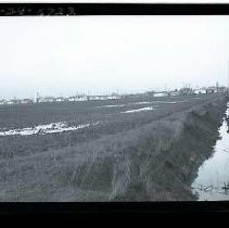 Negative, Safety, unknown