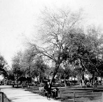 Park in Oak Park