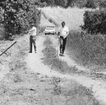 Two Men in Peach Orchards