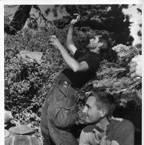 Warren Harding (left), 34, of West Sacramento, the leader of the first team to climb El Capitan, demonstrating how he climbed the most difficult part of the mountain