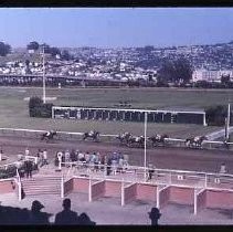 Golden Gate Fields racehorse track