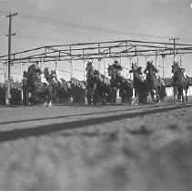 California State Fair horse racing