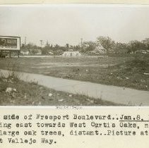 Print, Photographic, Black and White