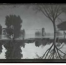 Negative, Safety, unknown