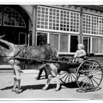 Print, Photographic, Black and White