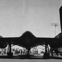 "Beale Shows Off Its Big Blackbird"