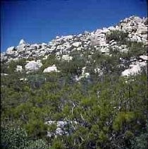 Slides of California Historical Sites. San Carlos Pass, Riverside County, Calif