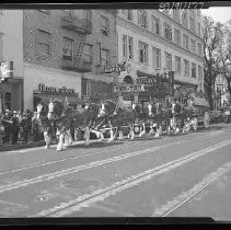 Budweiser Clydesdale horse and beer wagon