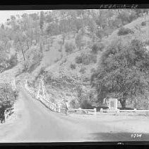 Famous Mother Orange Tree - Bidwell Bar