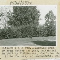 Print, Photographic, Black and White