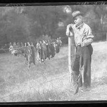 A hunter with dead partridge and rabbits