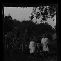 French Corral, Nevada County Broyles Children