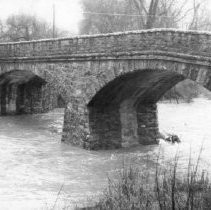 Print, Photographic, Black and White