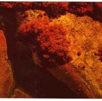 Photographs of landscape of Bolinas Bay. aerial