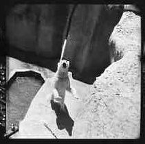 Negative, Safety, Unknown