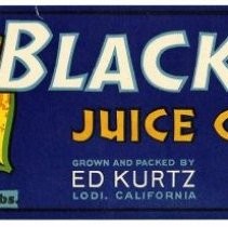 Black Joe Juice Grapes