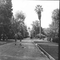 A Walk in the Park