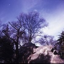 Sacramento Zoo