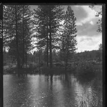 Negative, Glass Plate