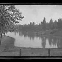 A lake in a forest