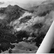 Forest Fire in Sutter Buttes