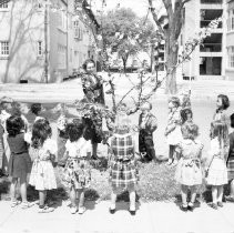 William Land School 1951 Outdoor Demonstration