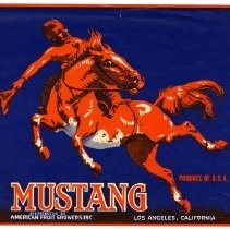 Mustang Brand