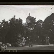 Negative, Safety, unknown