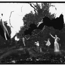 Negative, Glass Plate