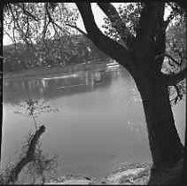 Negative, Safety, Unknown