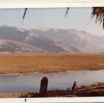 Photographs of landscape of Bolinas Bay