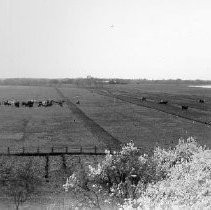 "View of Fields and Stacks"