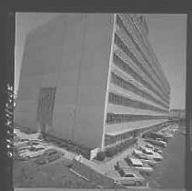 Negative, Safety, Unknown