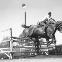 Horse Jumping