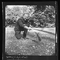 Negative, Safety, Unknown