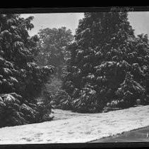 California State Capitol in snow