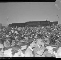 Negative, Safety, Unknown