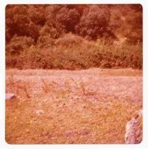 Photographs of landscape of Bolinas Bay