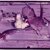 Still life with pheasant, gun and flowers