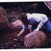 "Cleaning the Chimpanzee Exhibit"