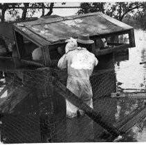 Rabbits Rescued from Flood